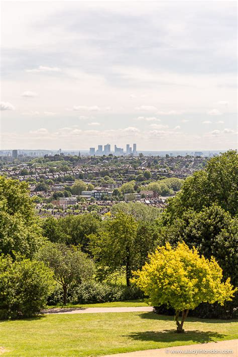 Muswell Hill, London Guide - Best Things to Do in Muswell Hill