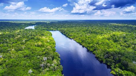 Puerto Maldonado: en lo profundo de la selva peruana