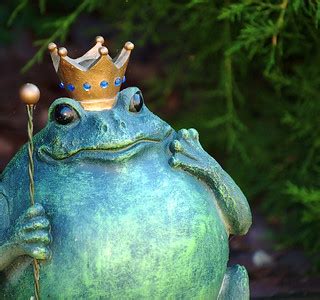 The Frog Prince | Jennifer Barnard | Flickr