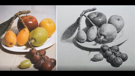 Still Life with fruit Drawing in Pencil - Blog Thủ Thuật