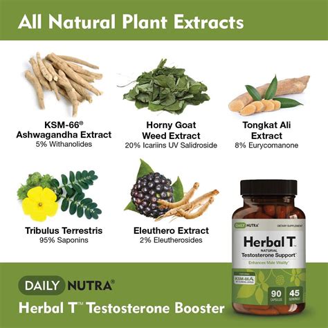 Boost testosterone naturally with these foods and herbs - Capsu.org