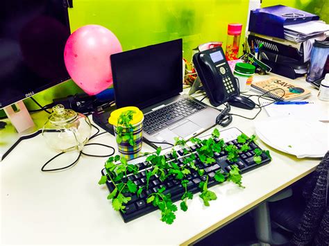 {Funny Friday} Office Pranks - A Deecoded Life