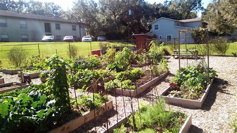 Find a Community Garden Near You - City of Orlando