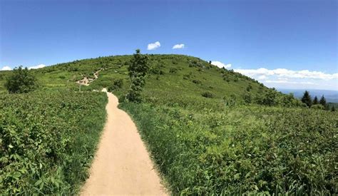 The Art Loeb Trail Is One Of The Best Mountain Hikes In North Carolina