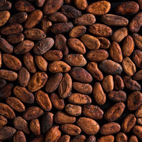 Cocoa Beans – Dando