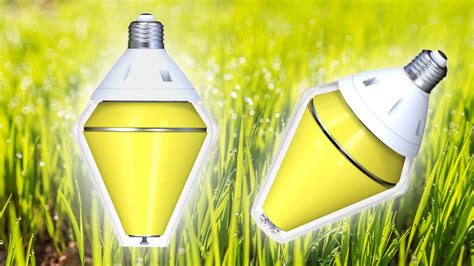 What is LED Corn Bulb (Why & how to use LED corn lamp)