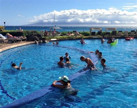 Sheraton Maui - A Wonderful Place for Families to Laze in Paradise ...