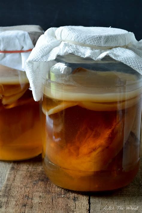 Kombucha SCOBY with Starter Tea - Thai Artisan Foods and Supplies