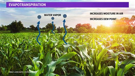 The difference between hot and muggy | whas11.com