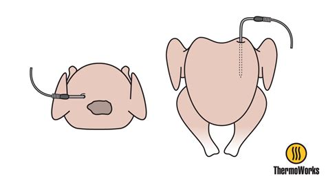 Proper Probe Placement In Your Turkey - Blog ThermoWorks