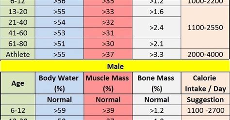 Muscle Mass Chart