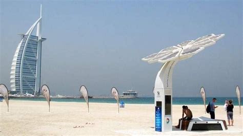 Proposal to allot private beach for families in Dubai - News | Khaleej ...