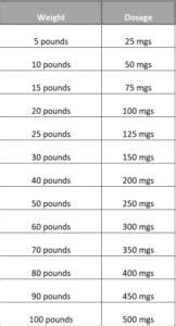 Human Amoxicillin For Dogs Dosage - What You Need To Know! (2024) - We Love Doodles