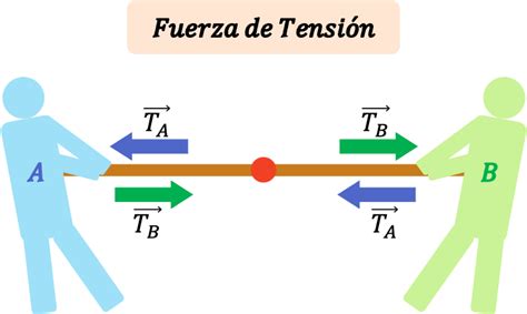 Cómo calcular la fuerza de tensión (ejercicios resueltos)