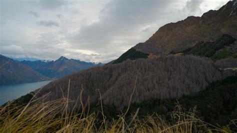 Overlook and Scenic landscape at Queenstown, New Zealand image - Free stock photo - Public ...