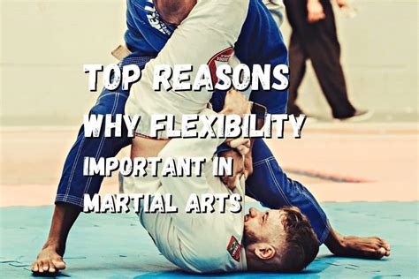 Why Is Flexibility Important In Martial Arts? 10 Reasons – Fighting Advice