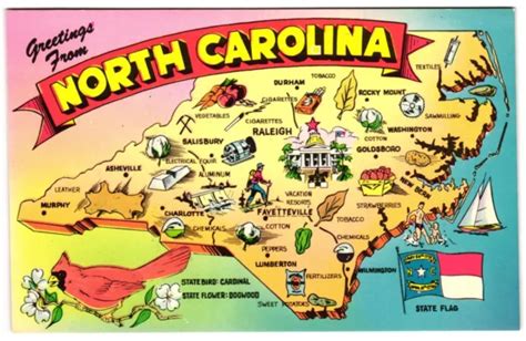 NORTH CAROLINA STATE Map Bird Flag Labeled Cities and Landmarks Postcard $4.75 - PicClick