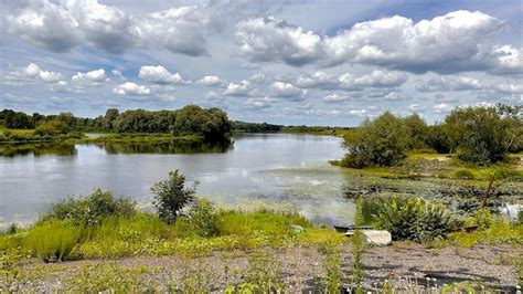 Premium Photo | Nature background with river bank