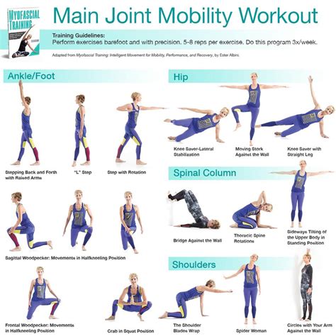 Active at home - Resistance workout - Human Kinetics