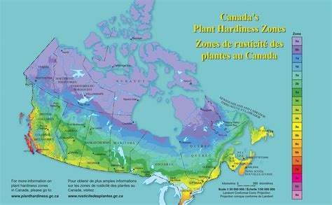 Canada Plant Hardiness Zones - Florissa | Flowers, Roses, Fruits and VeggiesFlorissa | Flowers ...