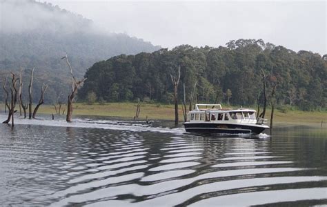 Thekkady – Periyar Lake Boating - 5 Star Resort in Kerala