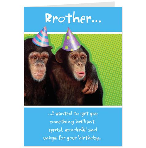 Big Brother Little Brother Birthday Quotes To Funny. QuotesGram