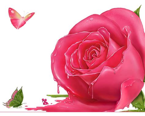 pink rose meaning | pink roses | pink rose wallpaper | light pink roses | pink rose pic | single ...