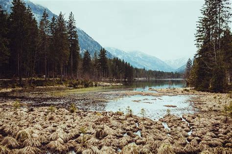 Hiking in Berchtesgaden - Lake Hintersee | Purple Avocado