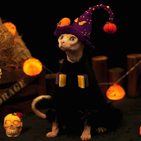 The Best Cat Costumes for Halloween | Cat witch Costume