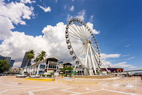 Bayside Miami ferris wheel tourist attraction Skyviews Photograph by Felix Mizioznikov - Fine ...