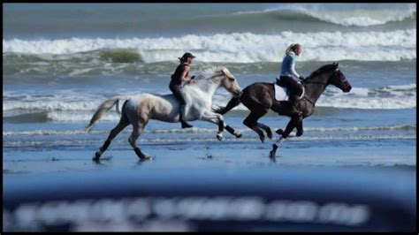 AMAZING BEACH DAY- GALLOPING BAREBACK & BRIDLELESS ""Free Riding"" - YouTube