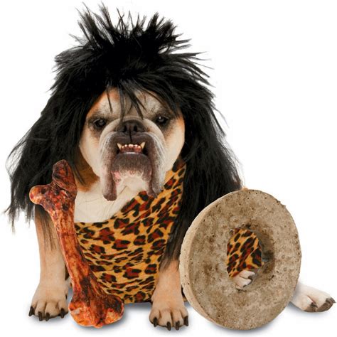 When do you need the large dog costumes? | LoL Picture Collection