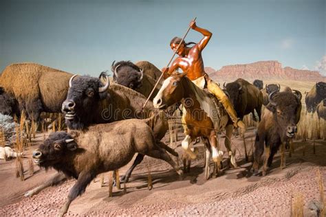 Buffalo Hunt, Milwaukee Public Museum Editorial Photography - Image of bison, native: 110797947