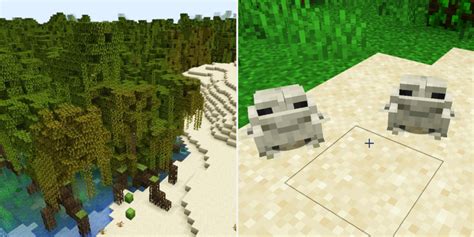 Minecraft: How To Find Mangrove Swamps (& What To Find There)