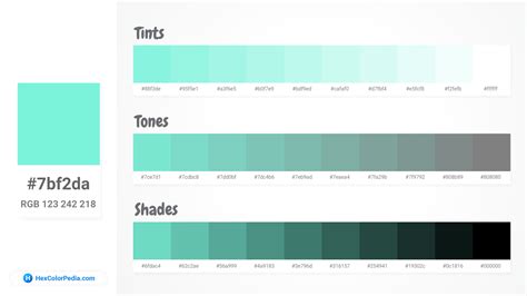 What is the color of Tiffany Blue | Hexcolorpedia