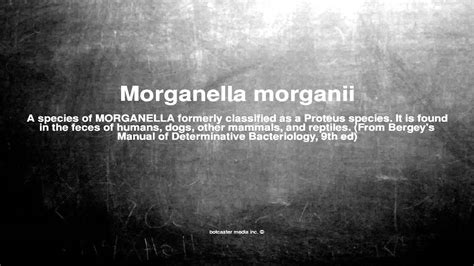 Medical vocabulary: What does Morganella morganii mean - YouTube