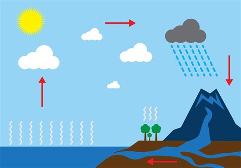 Below Is A Water Cycle Diagram Label The Arrows "stunning Co