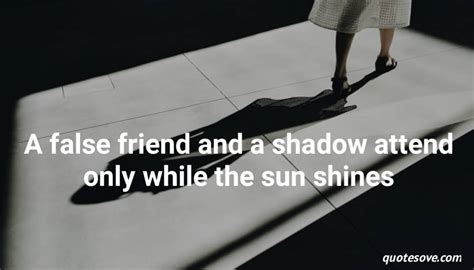 101+ Best Shadow Quotes and Sayings » QuoteSove