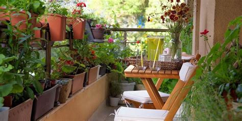 How you can start a balcony garden?