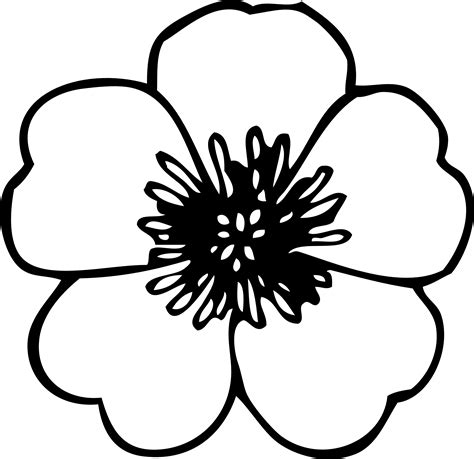 Poppy clipart black and white, Poppy black and white Transparent FREE ...