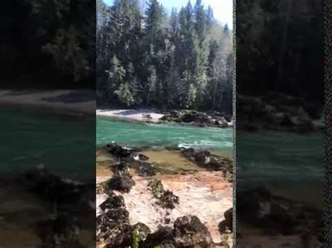 Cowlitz Falls Campground, WA | The Dyrt