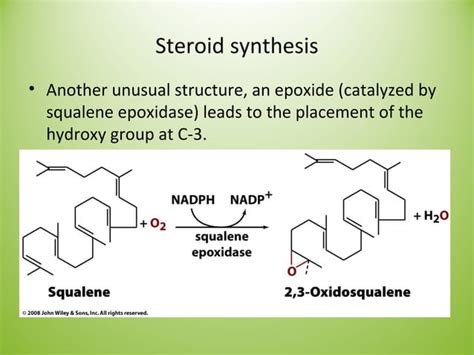 Lipid biosynthesis | PPT