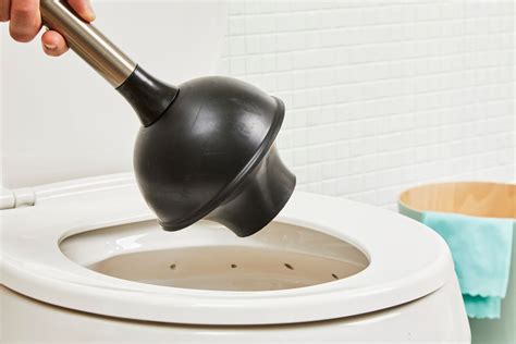 The 9 Best Toilet Plungers of 2024