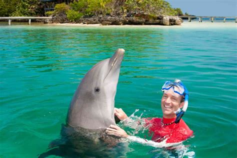 Swim With Dolphins In Cancun At Any Of These 4 Great Places! - Addicted ...