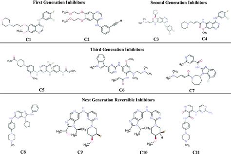 Shows advancement in the development of EGFR inhibitors. | Download ...