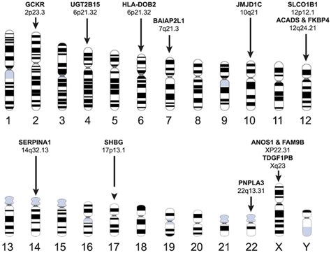 Chromosome idiogram map of gene variants that have significant... | Download Scientific Diagram