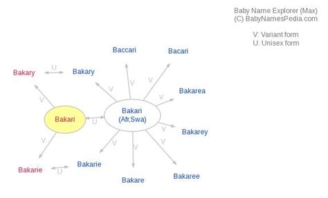 Bakari - Meaning of Bakari, What does Bakari mean? girl name