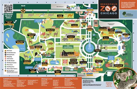 Brookfield Zoo Map 2024 - Willi Damaris