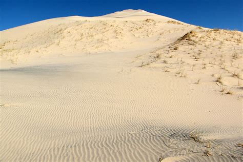 Kelso Dunes