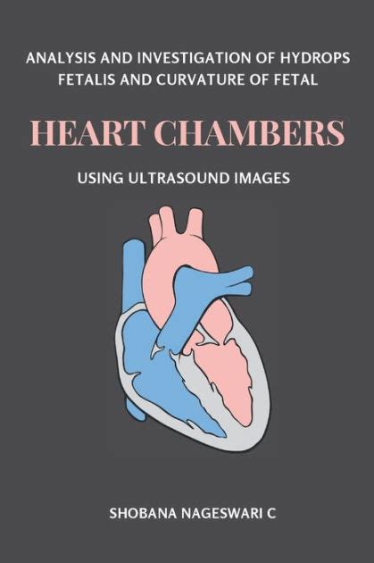 Analysis and Investigation of Hydrops Fetalis and Curvature of Fetal Heart Chambers Using ...